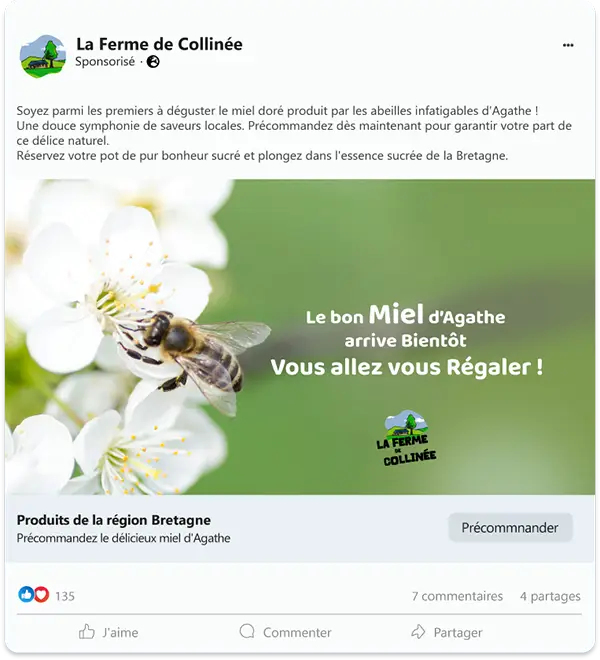 Post Facebook prévenant de la fabrication du miel